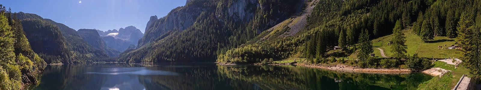 Alpine Mirror